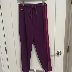 Aviator Nation Purple Sweatpants with Pink Stripe